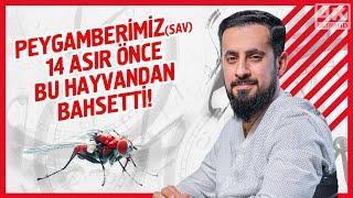 Peygamberimiz (sav) 14 Asır Önce Bu Hayvandan Bahsetti - Bakın Şu An Ne Keşfedildi? | Mehmet Yıldız