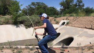 Albuquerque Ditch’s Can Hold Tons Of Fish