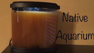 Native Aquarium Build Part 1 - Substrate and Water