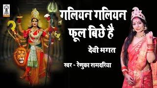 देवी भगत | गलियन गलियन फूल बिछे हैं तुम दुर्गा चली आबा होमा | माता के जस renuka samdariya