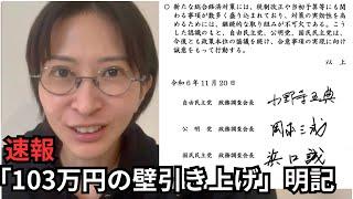 【速報】経済対策で自民•公明•国民が合意だが、120万円前後の考え【103万円の壁】