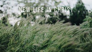 New Life In Christ