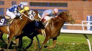 1987 Breeders' Cup Classic - Ferdinand & Alysheba + Post Race & Interviews