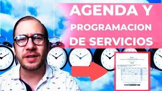 Cómo agendar tus servicios de control de plagas