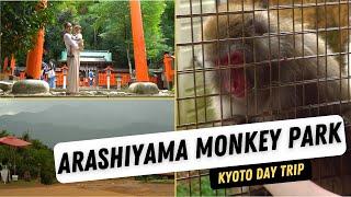 Arashiyama Monkey Park | Best Kyoto Day Trip