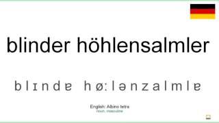 How to pronounce: Blinder höhlensalmler (German)