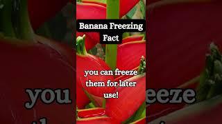 Banana Pepper Freezing Fact