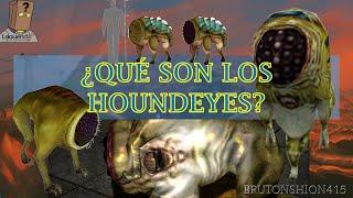 ¿QUÉ ES EL HOUNDEYE? | ANÁLISIS Y CURIOSIDADES | HALF-LIFE EN ESPAÑOL