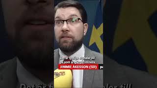 Åkesson vet inte 3.0 - efter avslöjandet om Åkessons bröllopsgäst..