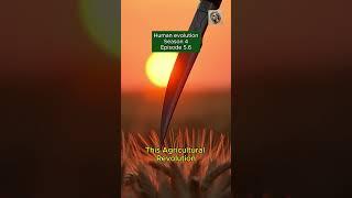 Iron Revolution in Vedic India!