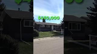 $438,000 Updated Price*  Investment Home! Side Entrance + Basement Suite Edmonton, Alberta #yeg #yyc