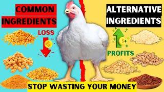 TOP 9 ALTERNATIVE FEED INGREDIENTS TO SAVE COST | STOP WASTING MONEY BUYING EXPENSIVE INGREDIENTS