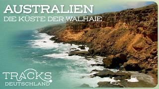 Doku: Australiens Küste der Walhaie | Reisedoku | TRACKS Deutschland