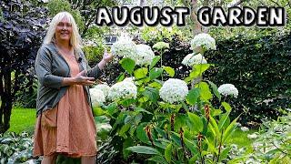 August Garden Tour || Staking Lilies, Unwanted Trees/Bushes, Box Blight Update || All Plant Names