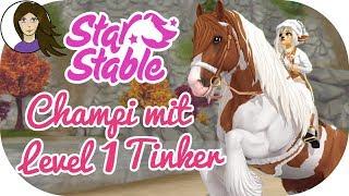 Championat mit Level 1 Tinker? So wars :D   STAR STABLE [SSO DEUTSCH]  - Let´s Play