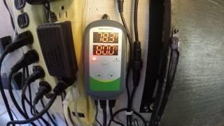 Inkbird ITC-308 Aquarium Temperature Controller Review