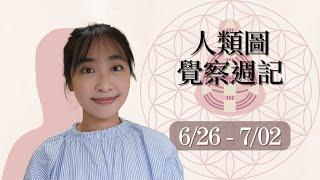 人類圖覺察週記｜6/26-7/02｜Yoko Tarot