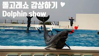 오키나와 돌고래쇼 (풀영상) 감상하기    Okinawa Churaumi Aquarium Dolphin show