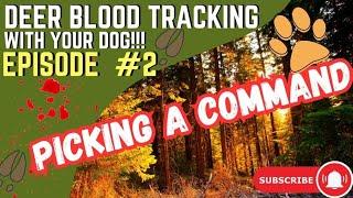 Train your dog at home to blood track deer.  What word are you gonna use?