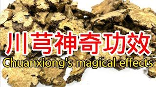 中藥川芎的功效與作用，The efficacy and effects of traditional Chinese medicine Chuanxiong