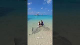 Где можно поплавать с акулами? В Inst NinelWithSharks сделала актуальное с ссылками на дайв центры