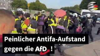 #BPT24: Peinlicher Antifa-Aufstand gegen die AfD!