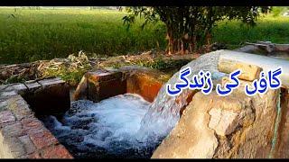 Punjab Village Natural Simple Rural Life In Pakistan