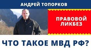 Андрей Топорков. Правовой ликбез - МВД РФ | Возрождённый СССР Сегодня