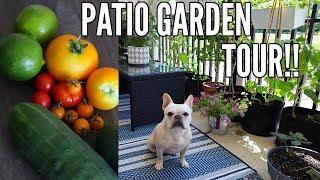 GARDEN TOUR 2018 | Small Space Patio Garden Tour - Growing in Containers!!