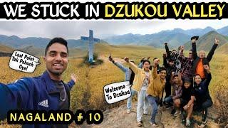 WE STUCKED IN DZUKOU VALLEY OF NAGALAND  | TREKKING GONE WRONG | DZUKOU VALLEY | NAGALAND VLOG