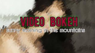 Video bokeh full HD sunny morning in the mountains