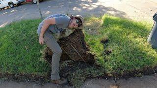 Homeowner STUNNED at How WIDE the Sidewalks Are (Part 1) - FREE OVERGROWN Lawn Mowing and Edging