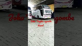 Keberangkatan Bus Putra Pelangi Medan-Jakarta