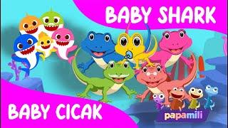 Baby Shark Versi Cicak Cicak di Dinding ( Baby Cicak ) - Lagu Anak Indonesia Populer