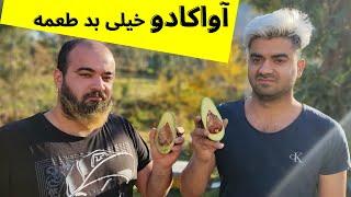 آواکادو خوردیم . شما نخورید.avocado