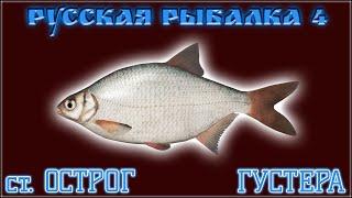 Русская рыбалка 4 • оз. Старый Острог Густера • рулетка с призами • рр4 от ЧокопайТВ