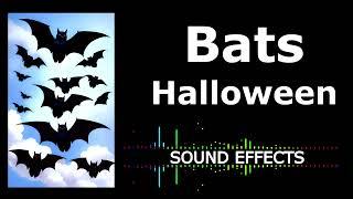 Horror Bats Sound Effects Free To Use