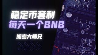 加密大师兄带你实操稳定币套利 每天一个BNB！！！