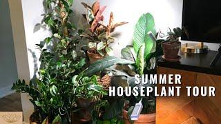 Indoor Summer Houseplant Tour | Houseplant Collection