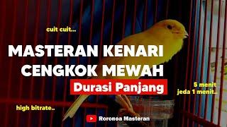 Masteran Kenari Cengkok Mewah Durasi Panjang