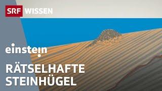 Mysteriöses Rätsel: Was verraten uns die 170 Steinhügel im Bodensee? | Einstein | SRF Wissen