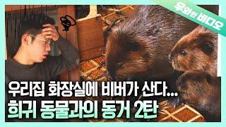 아마존 OPEN 야생 동물과 동거 어디까지 해봤니~?┃AMAZON OPEN Having a Wild Animal Roommate