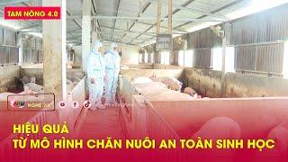 Tam nông 4.0: Hiệu quả từ mô hình chăn nuôi an toàn sinh học