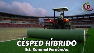 Césped Híbrido - Nuevo terreno para el ROMMEL FERNÁNDEZ 