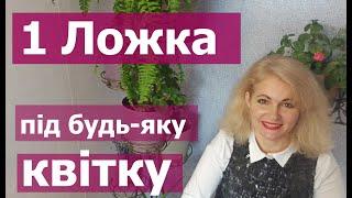 1 Ложка під будь яку квітку і вона знову позеленіє і пишно зацвіте!