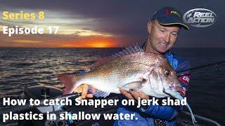 How to catch Snapper on jerk shad plastics in shallow water.