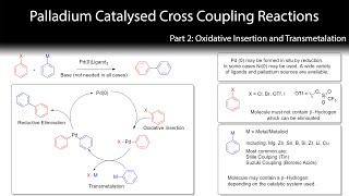 Palladium Cross Coupling Reactions 2 (Oxidative Insertion and Transmetalation)