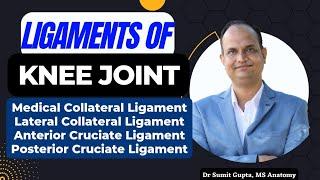 LIGAMENTS OF KNEE JOINT : Part 2