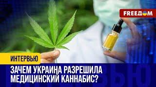 ️️ В Украине ЛЕГАЛИЗОВАЛИ медицинский каннабис. ПОЧЕМУ это ВАЖНО? РАЗБОР