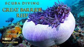 Scuba Diving the Great Barrier Reef [4K]